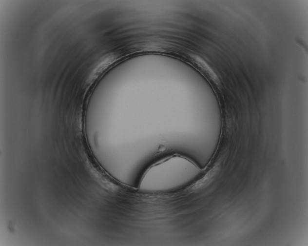 X0000093460938200710120947