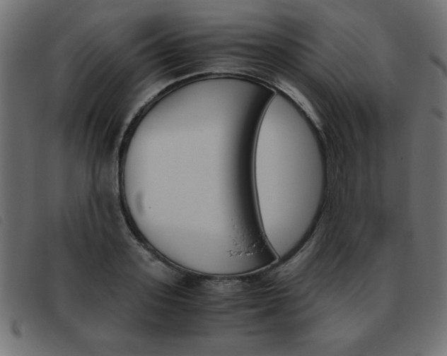 X0000093460939200710120947