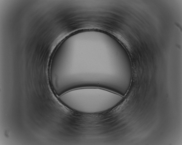 X0000093460943200710120947