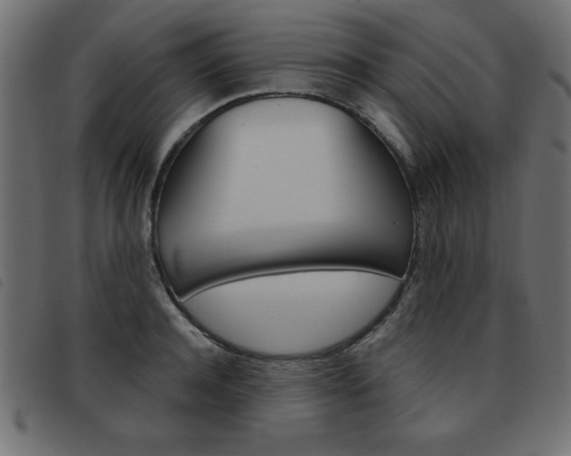 X0000093460944200710120947