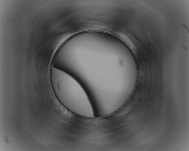 X0000093460948200710120947