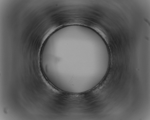 X0000093460949200710120947