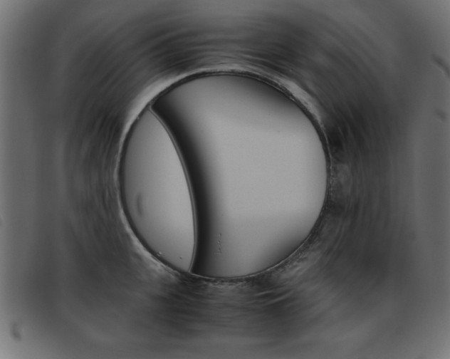 X0000093460951200710120947