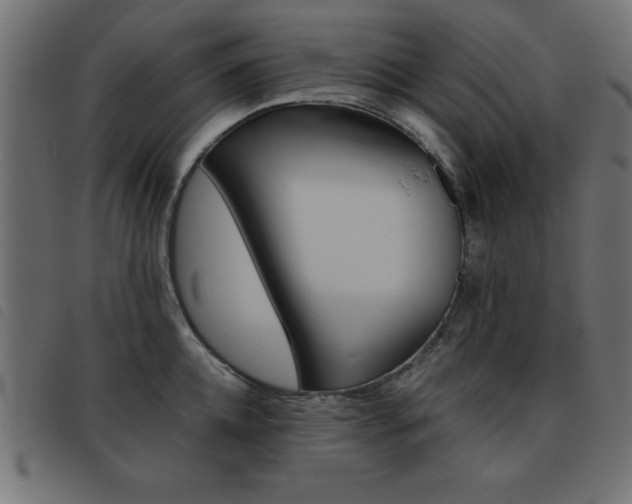 X0000093460952200710120947