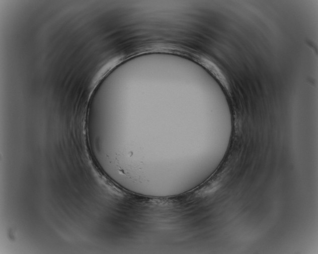 X0000093460954200710120947