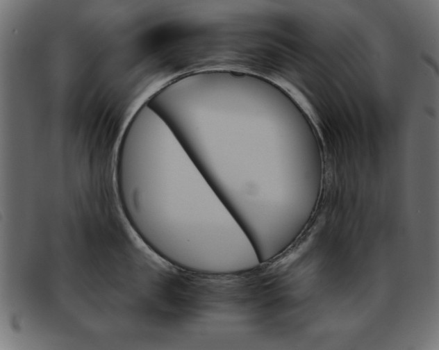 X0000093460957200710120947