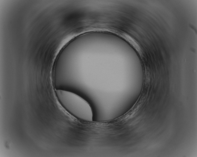 X0000093460958200710120947