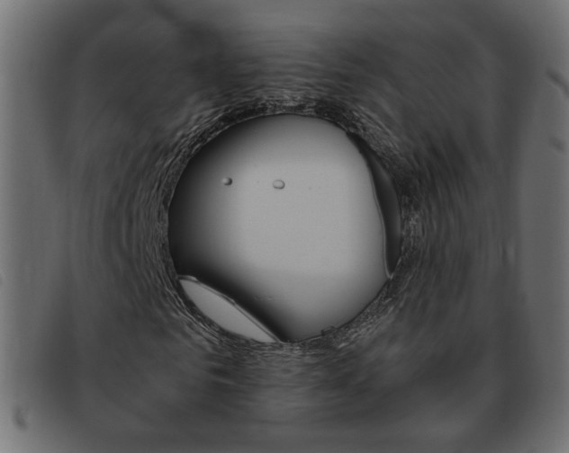 X0000093460961200710120946