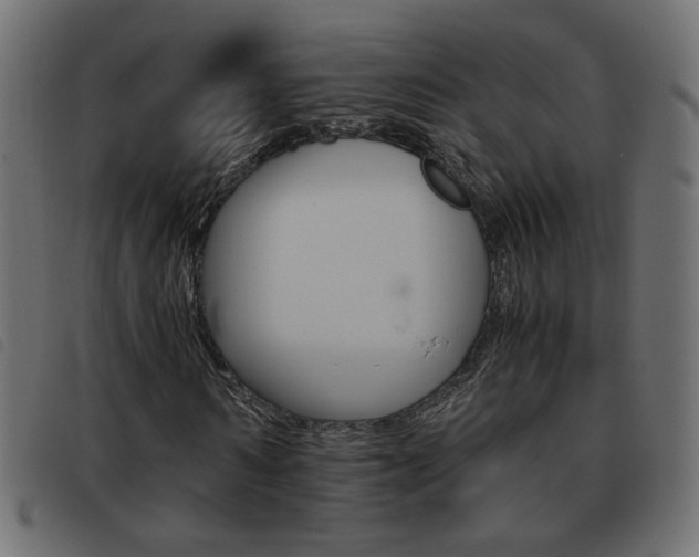 X0000093460962200710120946