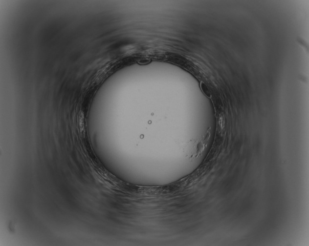 X0000093460963200710120946