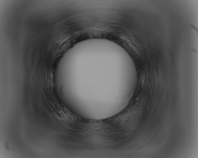 X0000093460964200710120946