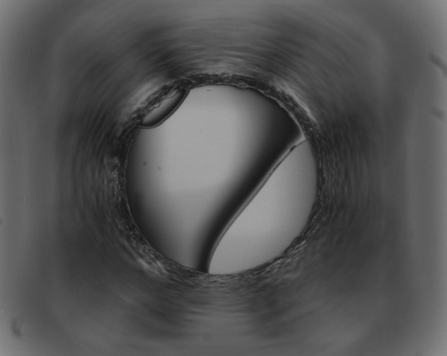 X0000093460968200710120946