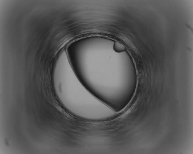 X0000093460969200710120946