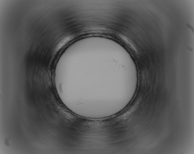 X0000093460970200710120946