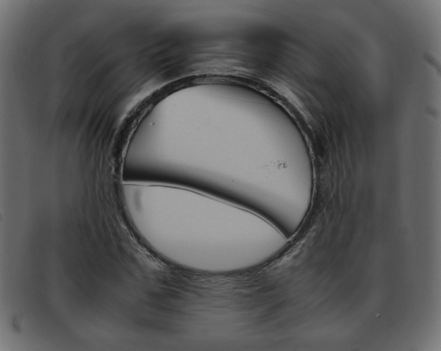 X0000093460971200710120946