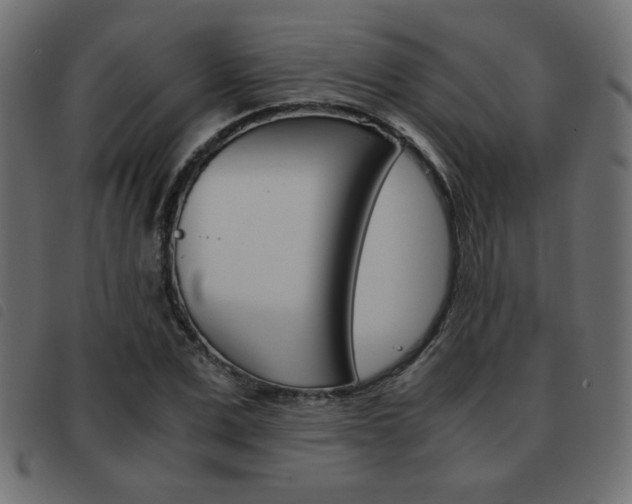 X0000093460975200710120946