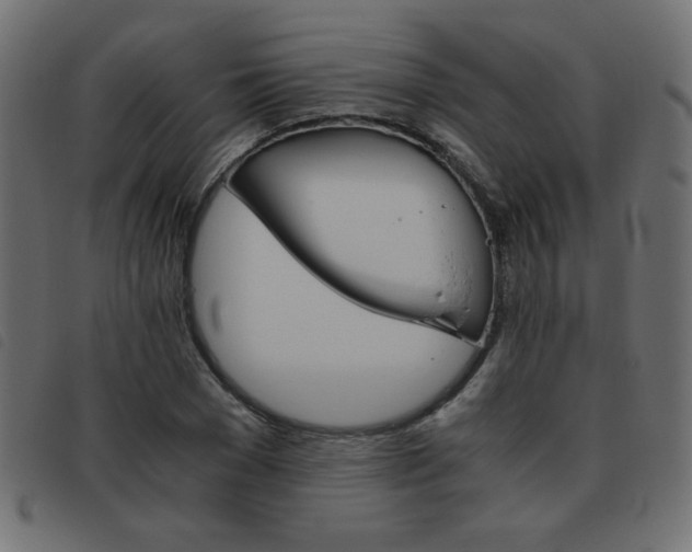 X0000093460977200710120946