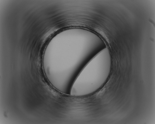 X0000093460979200710120946