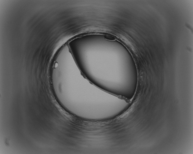 X0000093460981200710120946