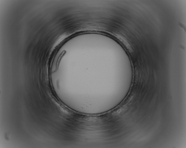 X0000093460982200710120946