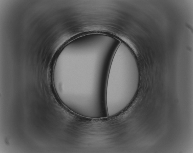 X0000093460983200710120946