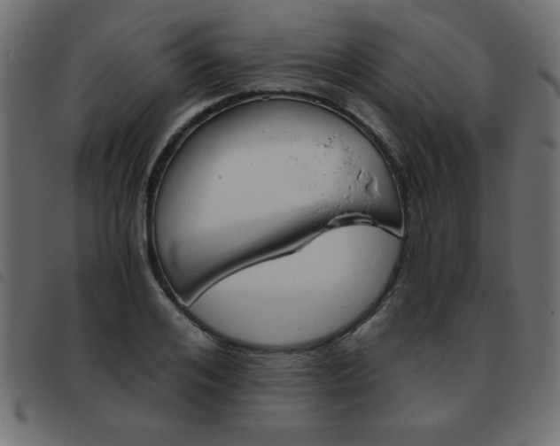 X0000093460984200710120946