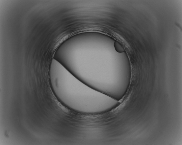X0000093460985200710120946