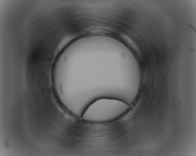 X0000093460986200710120946