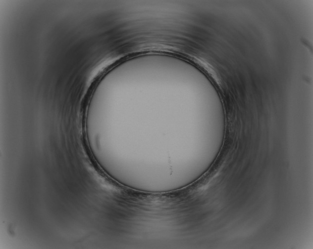 X0000093460987200710120946