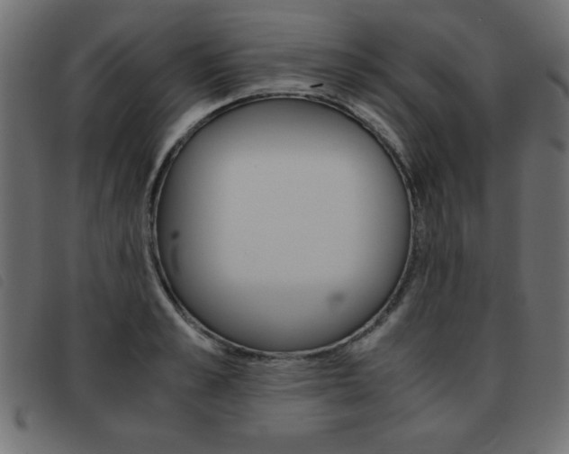 X0000093460989200710120946