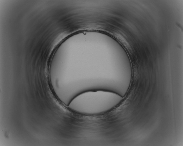 X0000093460990200710120946