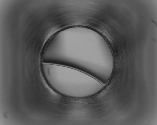 X0000093460991200710120946