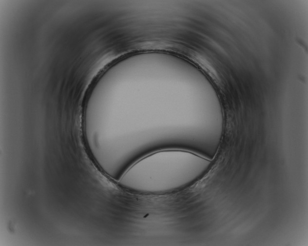 X0000093460992200710120946
