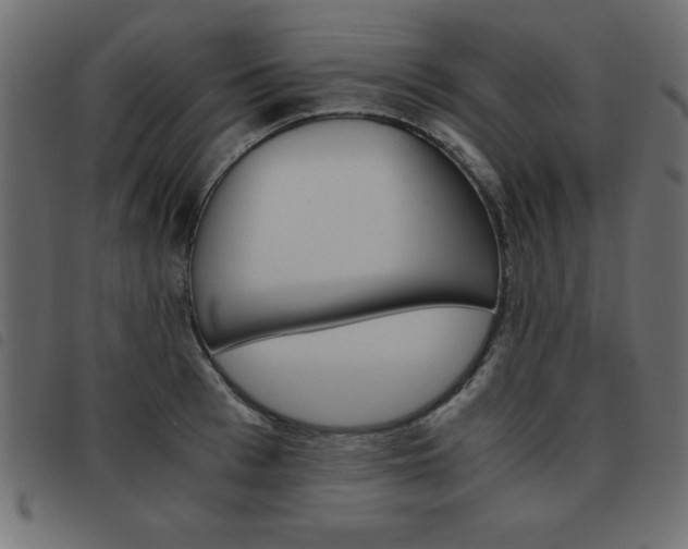 X0000093460993200710120946