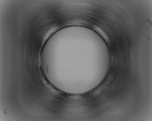 X0000093460994200710120946