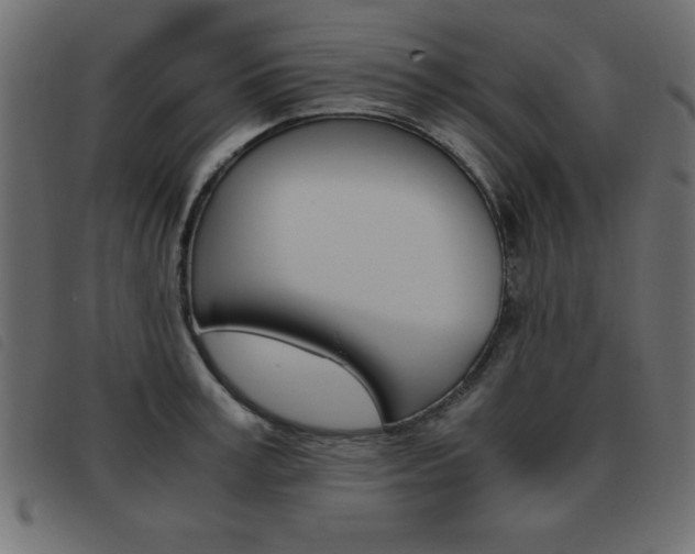 X0000093460995200710120946