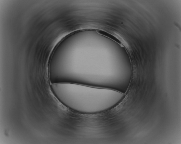 X0000093460996200710120946