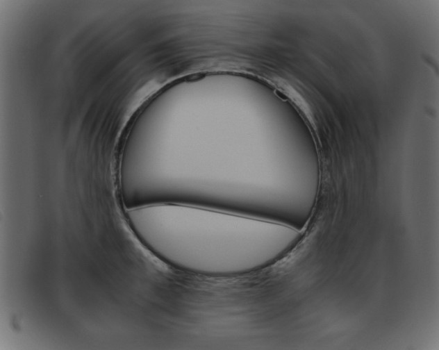 X0000093460997200710120946