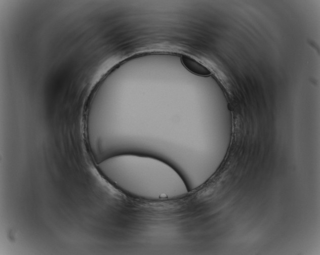 X0000093460998200710120946