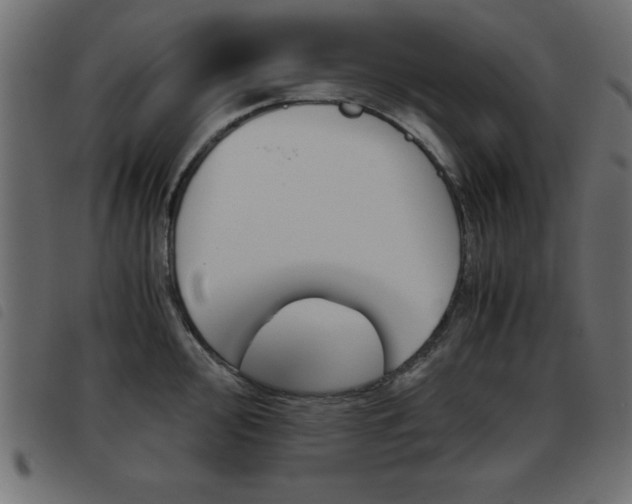 X0000093461000200710120946