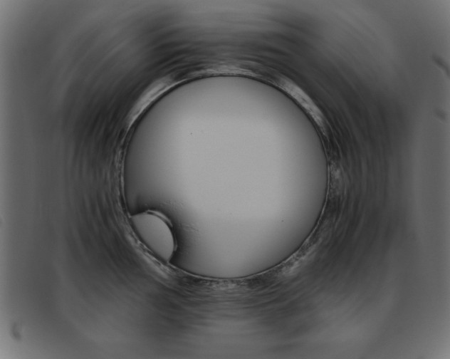 X0000093461002200710120946