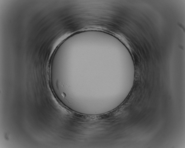 X0000093461003200710120946
