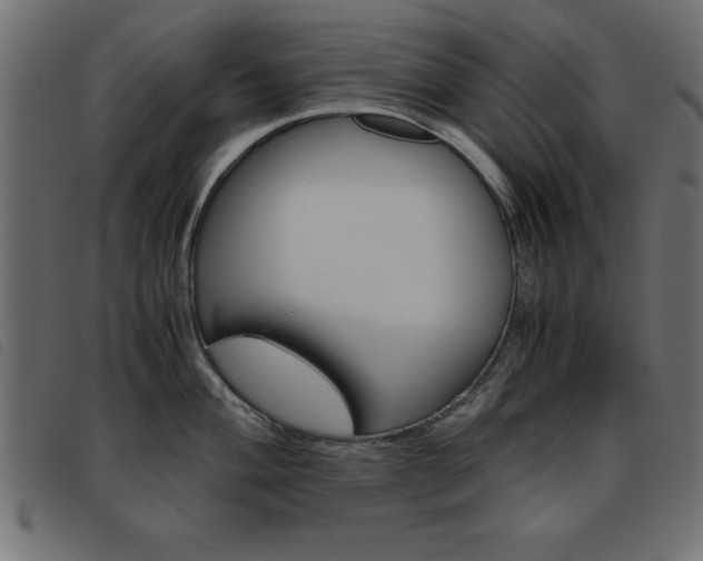 X0000093461004200710120946
