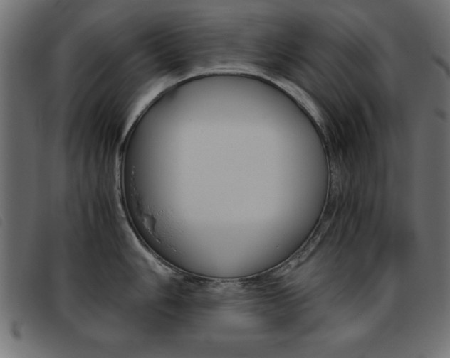 X0000093461006200710120946