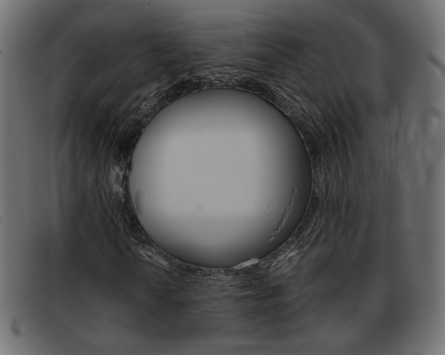 X0000093461010200710120945