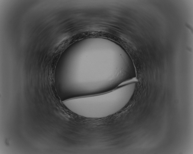 X0000093461014200710120945