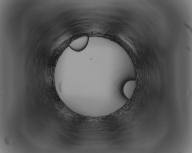X0000093461015200710120945