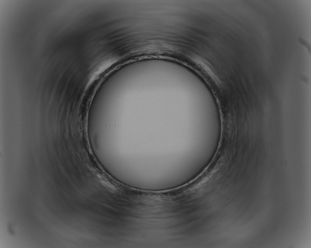 X0000093461018200710120945