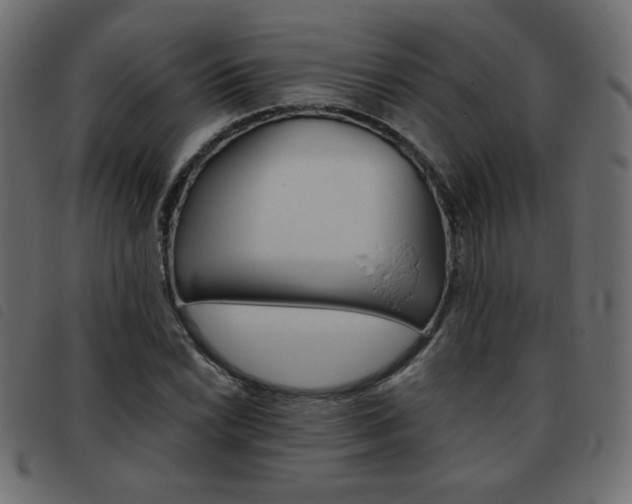X0000093461022200710120945