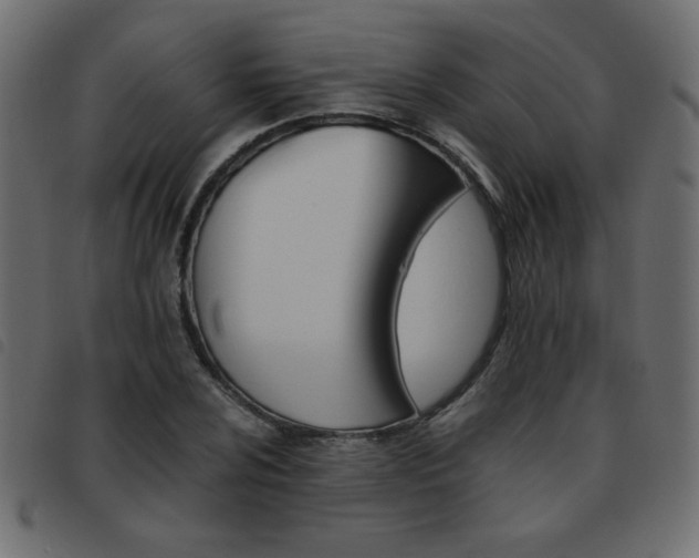 X0000093461024200710120945